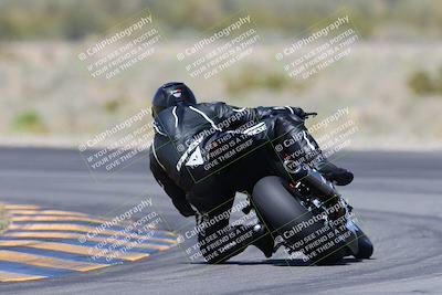 media/Apr-13-2024-SoCal Trackdays (Sat) [[f1617382bd]]/10-Turn 14 Backside (135pm)/